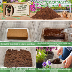 Legigo mixed with potting soil in seed tray promoting healthy seed starts