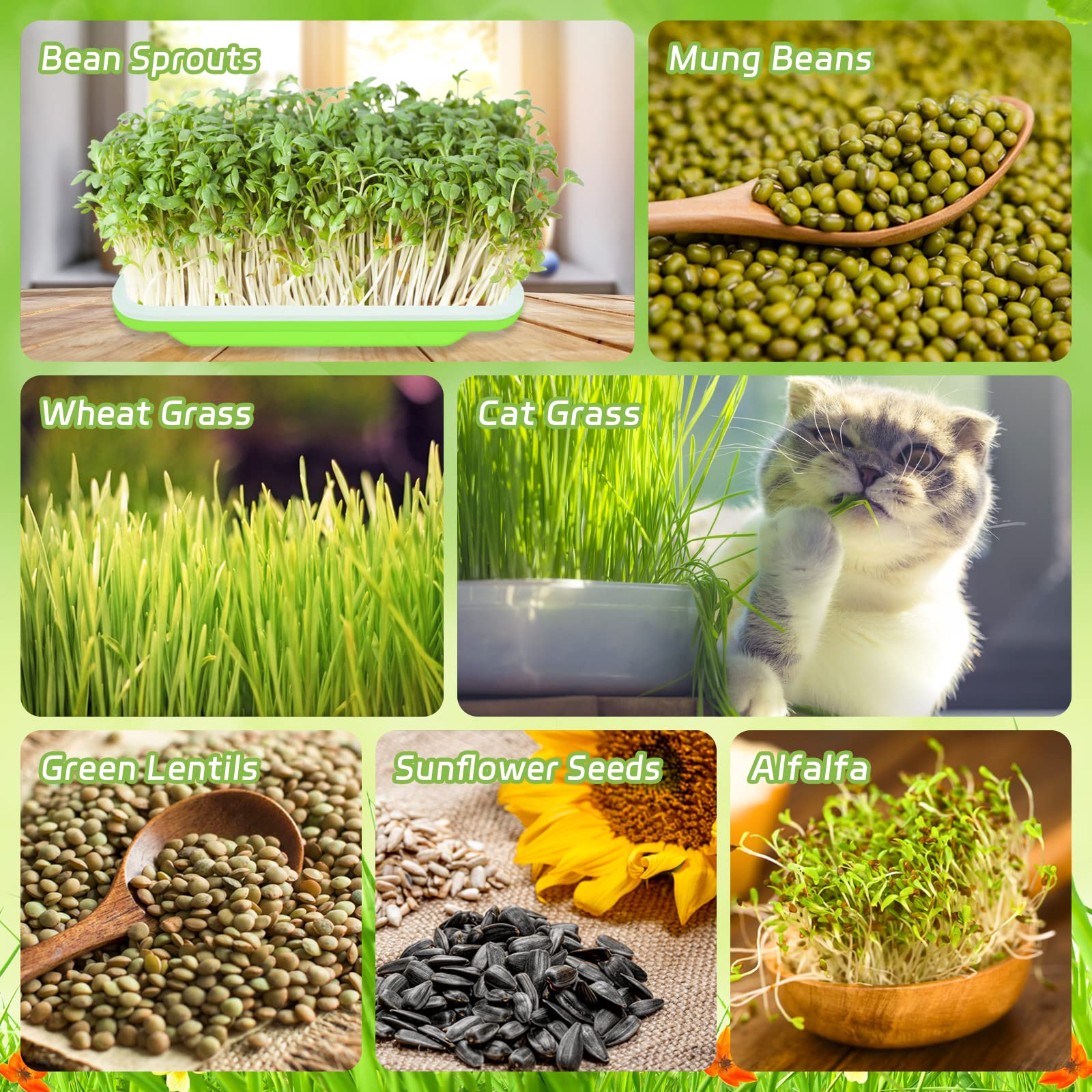 Legigo germination paper and seeds demonstrating fine-seed handling and reduced seed loss