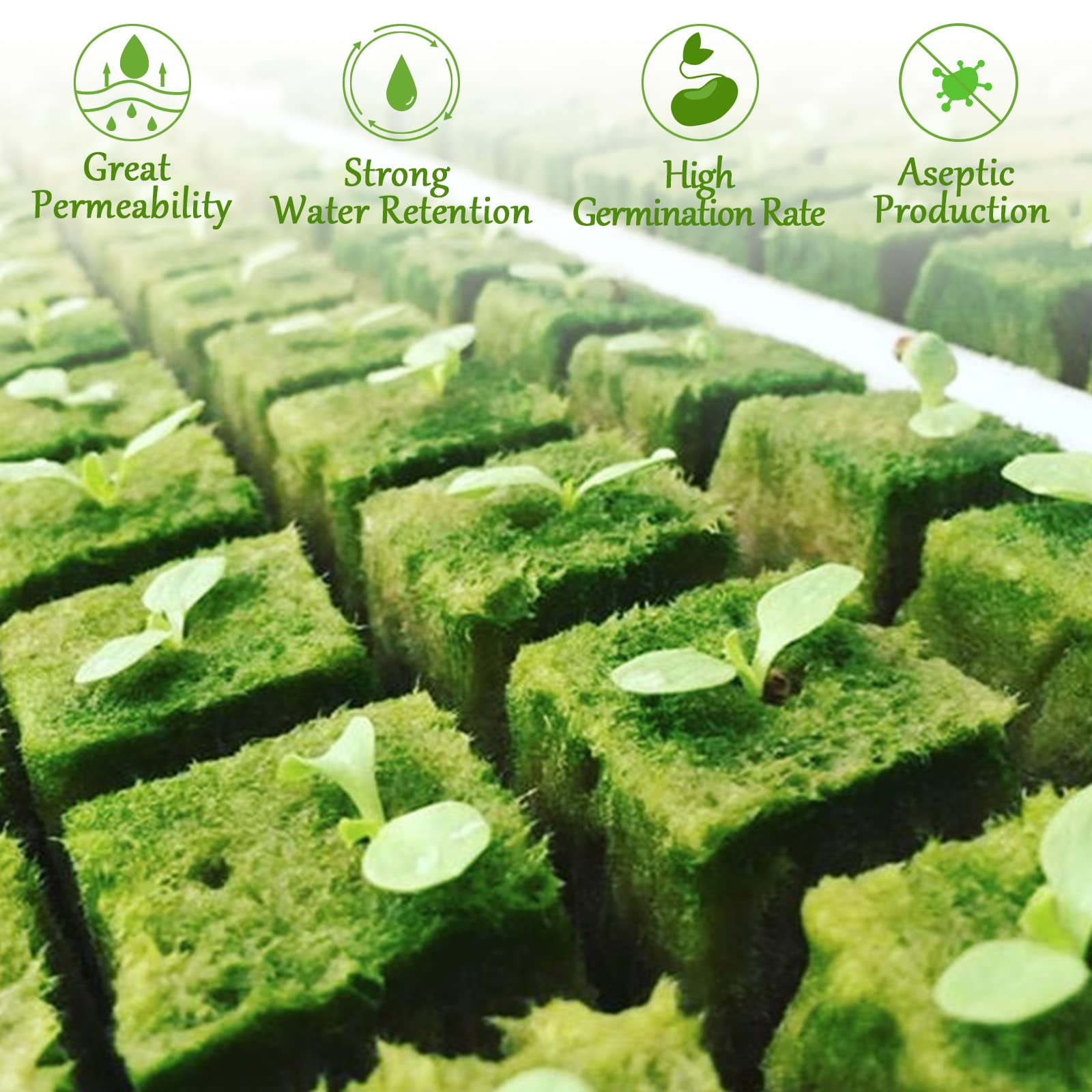Legigo seed placed in plug demonstrating correct positioning and improved germination control