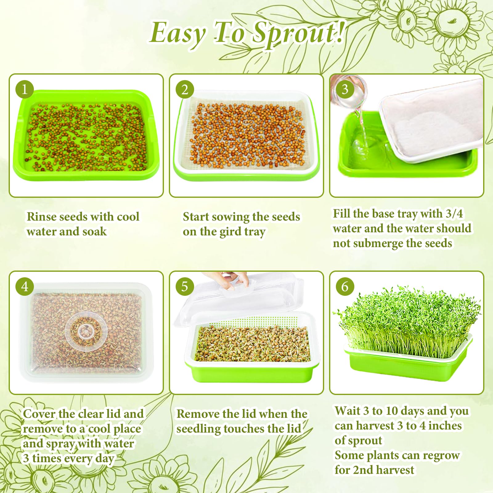 Legigo sprouts in tray top view showing healthy microgreens benefit: multiple harvests