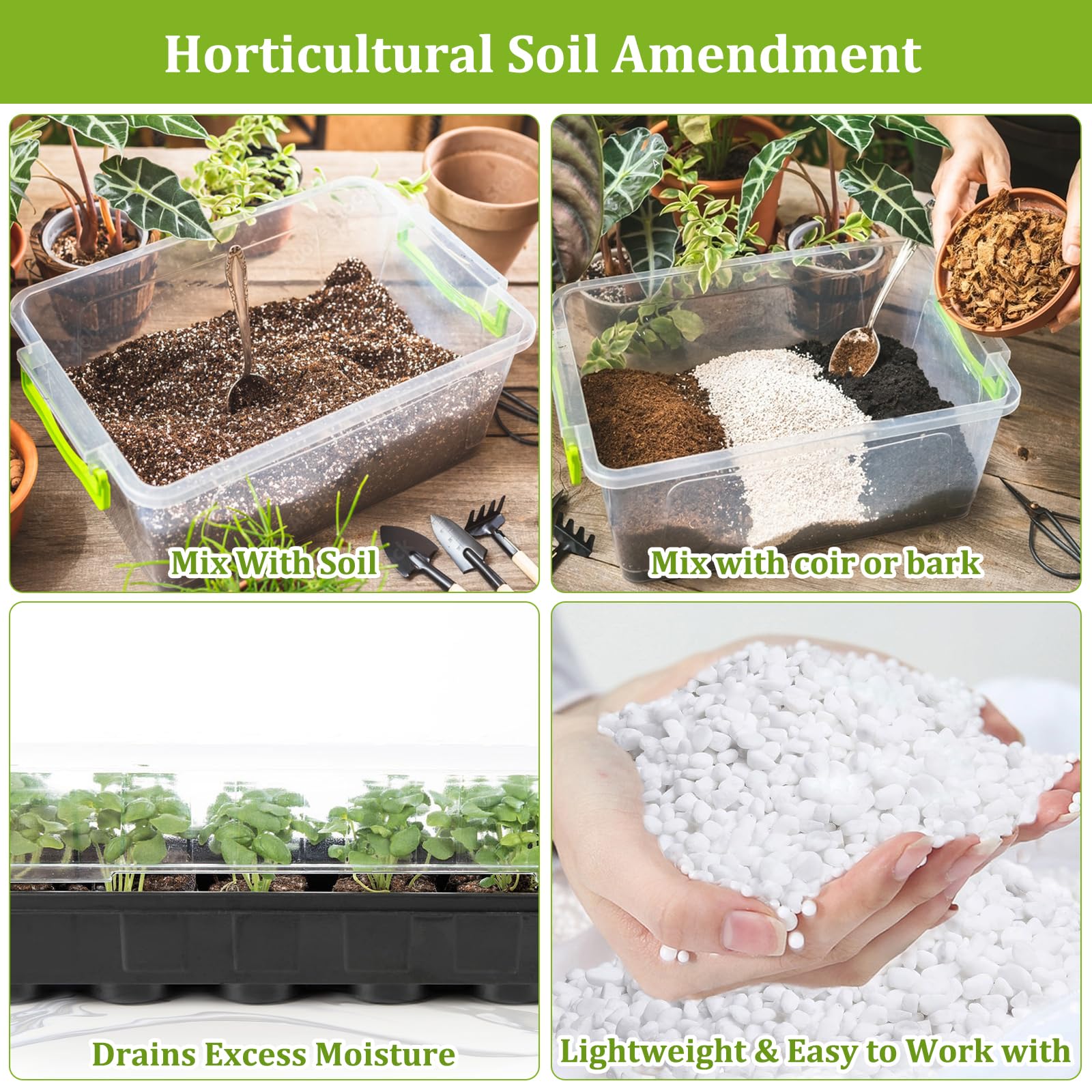 Legigo used in a succulent pot demonstrating faster drainage and healthy roots