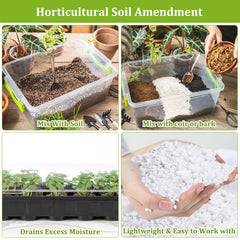 Legigo used in a succulent pot demonstrating faster drainage and healthy roots
