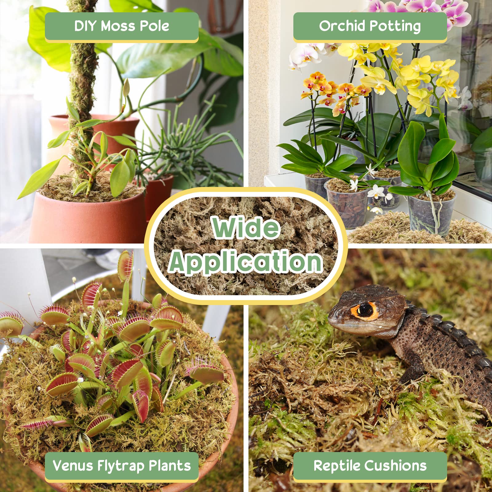 Legigo moss as top-dress keeping potted plant substrate evenly moist