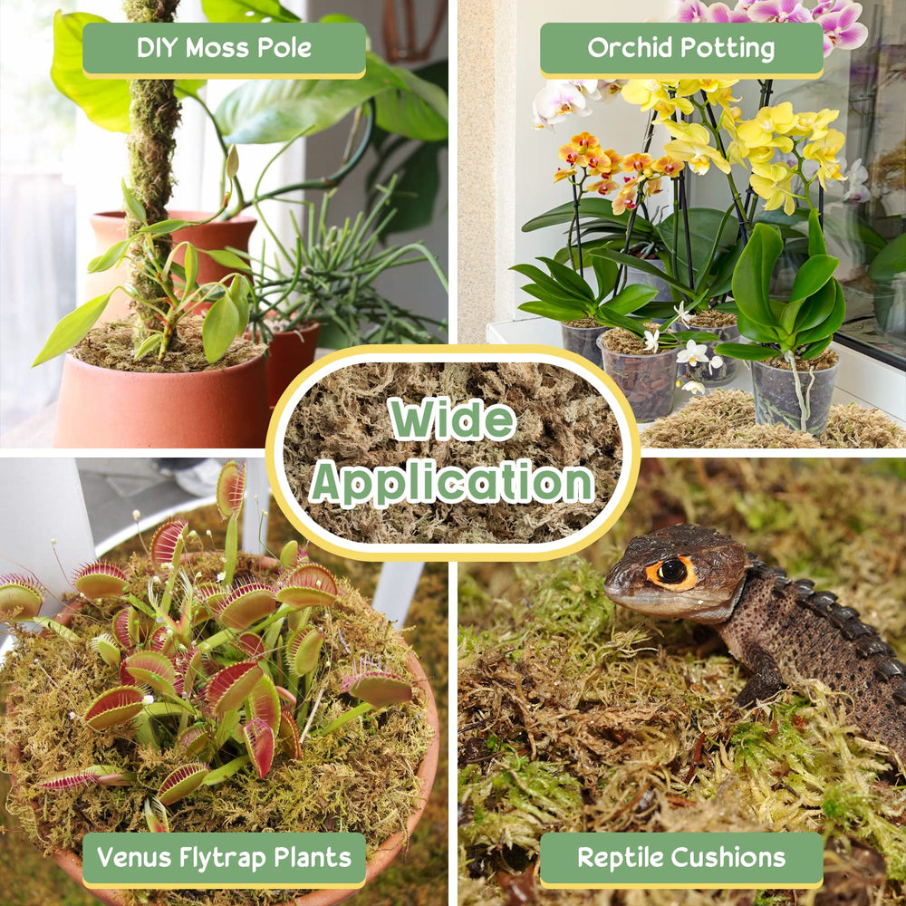 Legigo moss as top-dress keeping potted plant substrate evenly moist