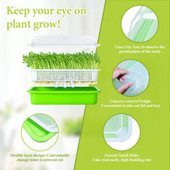 Legigo transparent lid detail showing clear visibility benefit: monitor growth without disturbance