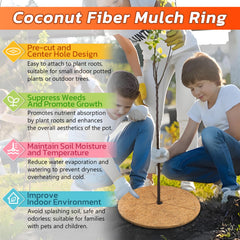 Legigo trimmed mulch ring fitted snugly around trunk for easy customization