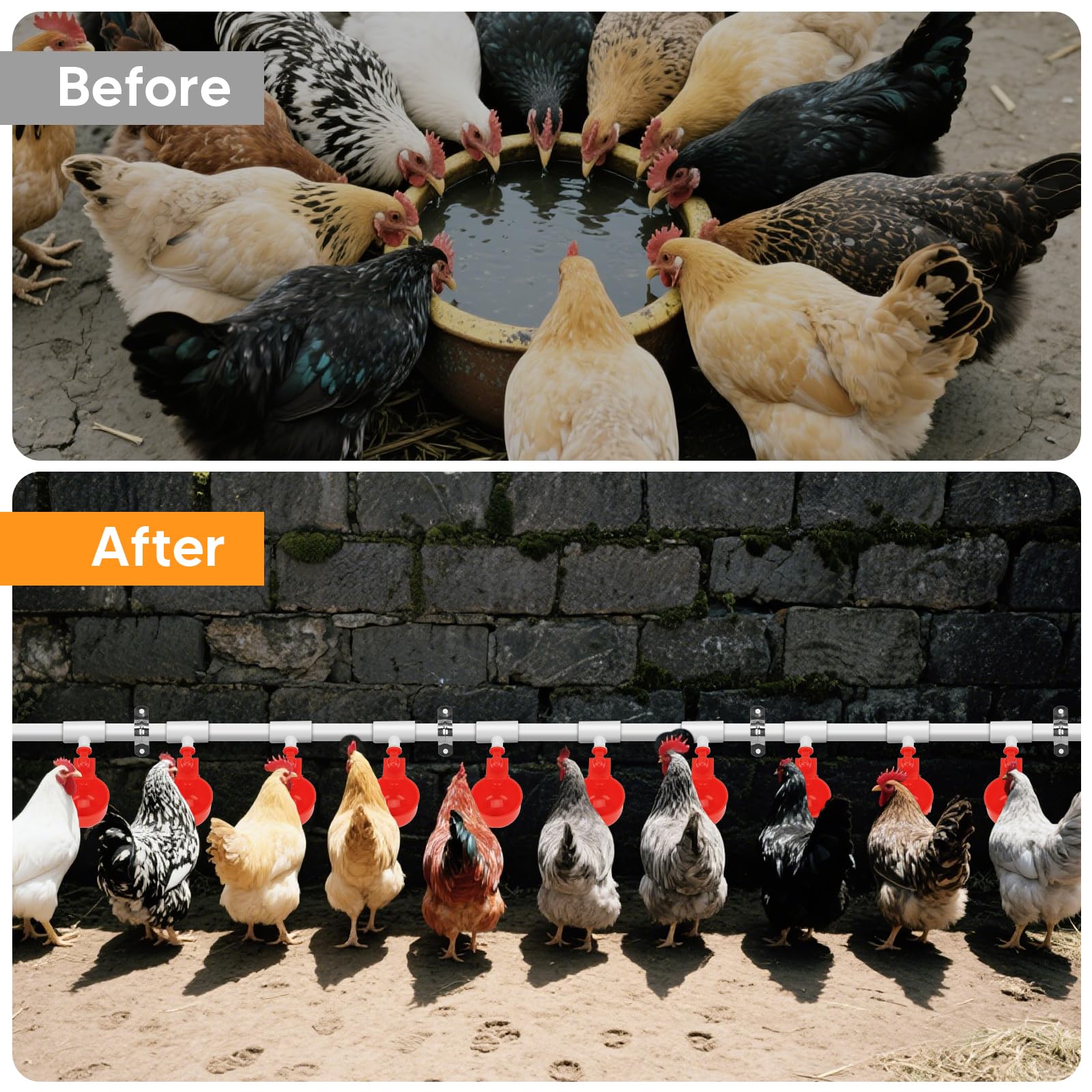 LEIFEOSH poultry waterer installed in coop reducing bedding wetness