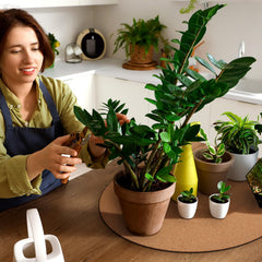 Leinuosen two mats holding multiple potted plants showing stability and space-saving benefit