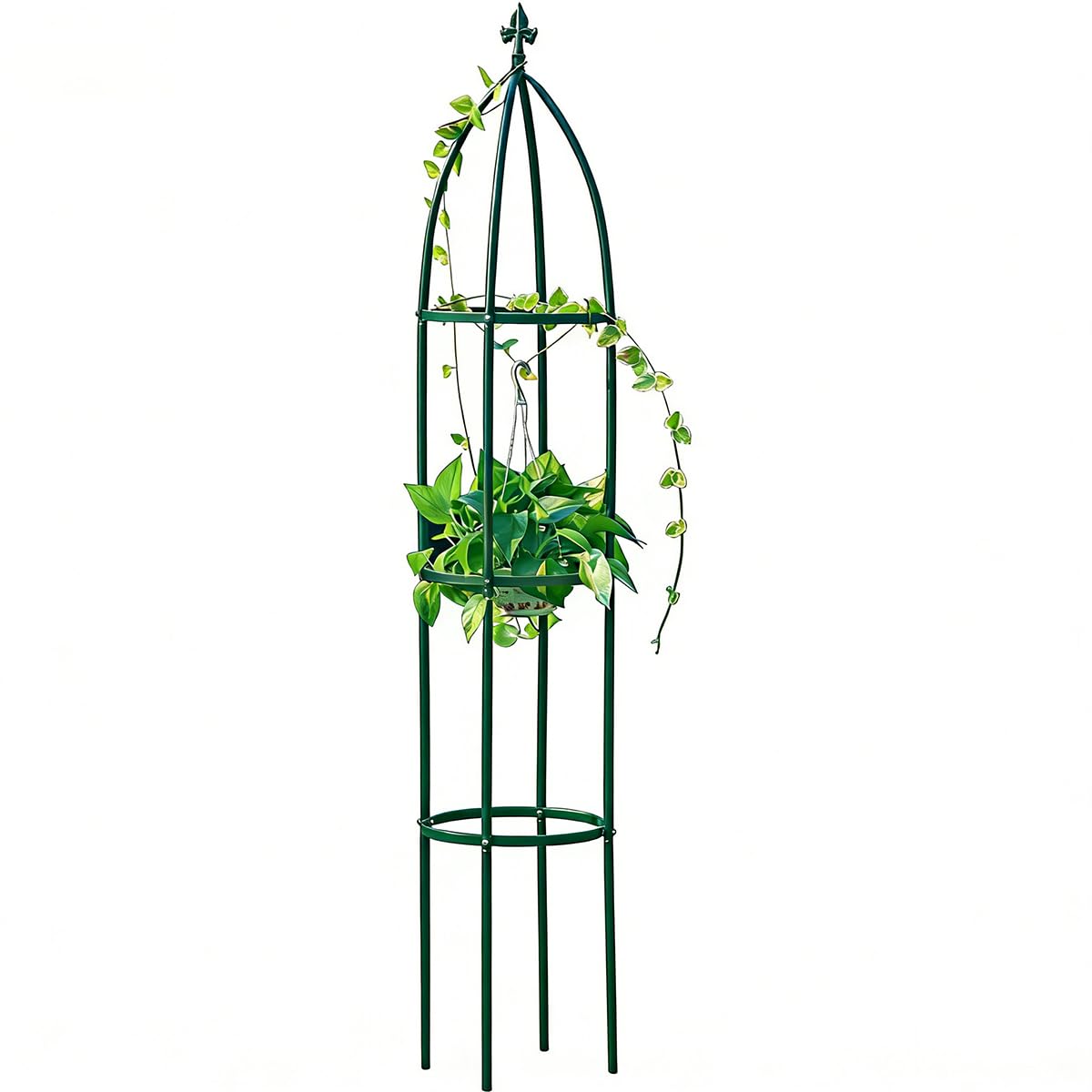 LeJoy Garden front view of 6.3 ft obelisk trellis showing elegant shape and height benefit