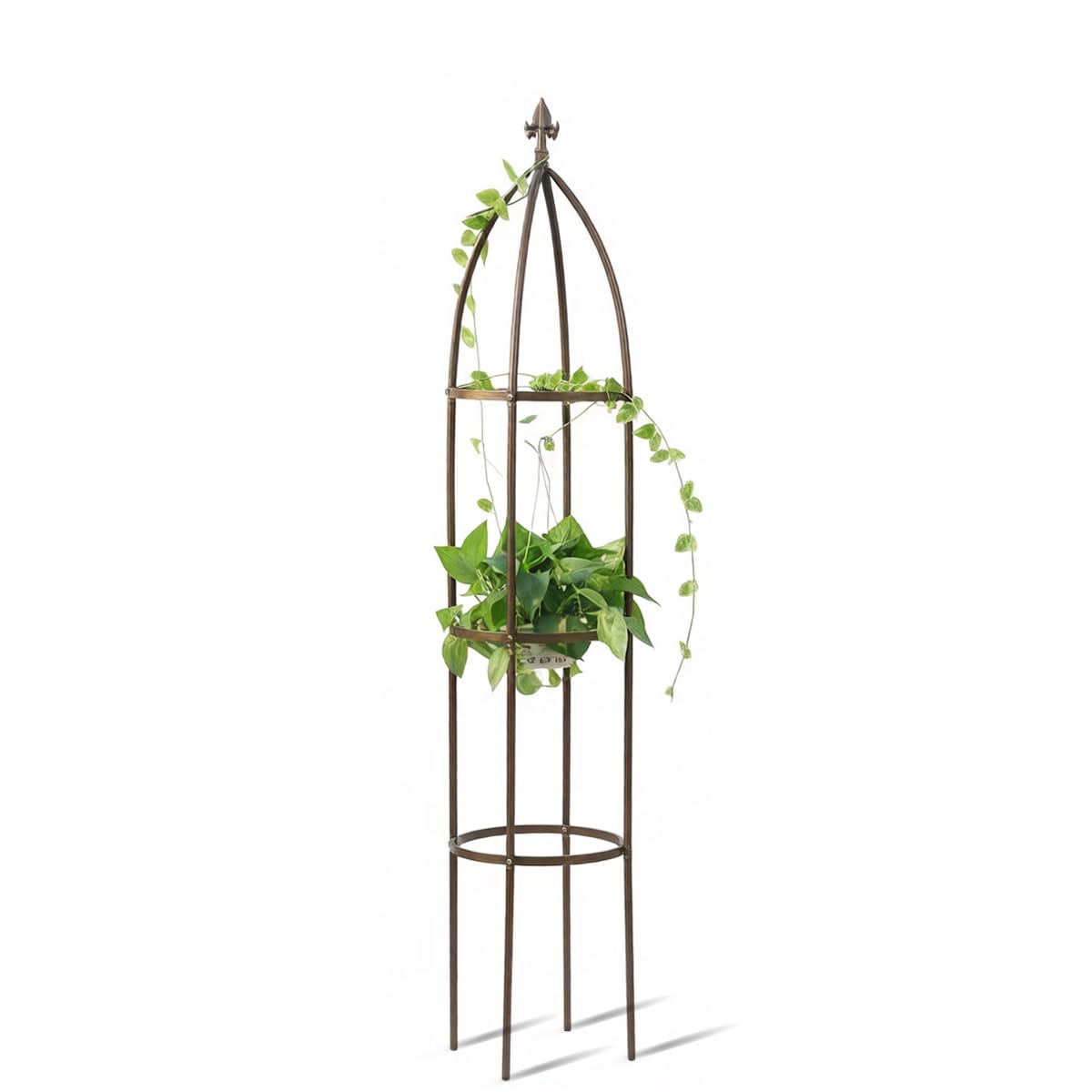 LeJoy Garden obelisk front view showing tall stable support