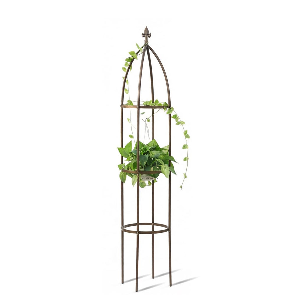 LeJoy Garden obelisk front view showing tall stable support