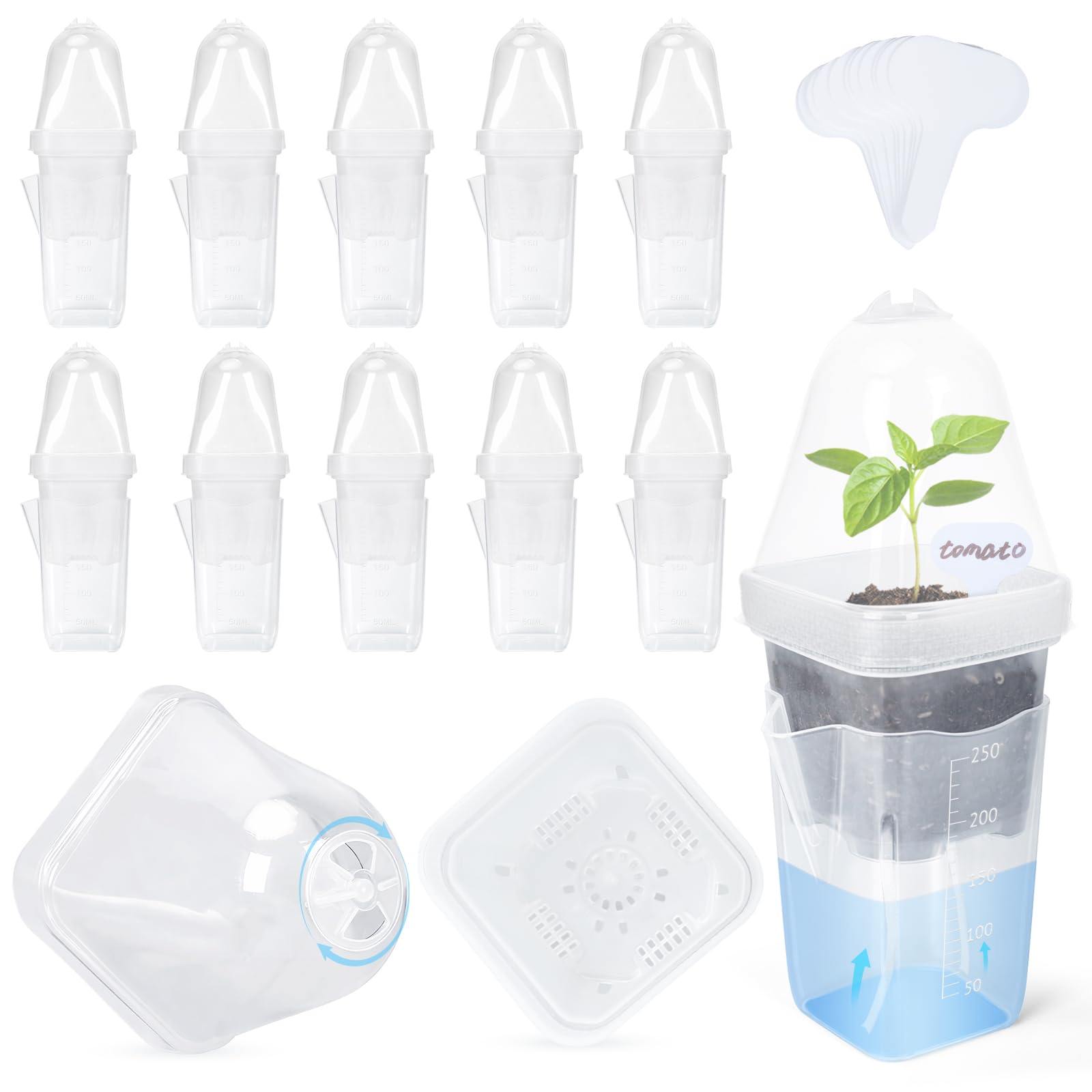 LEMEWEL front view showing clear dome and 12-pack for easy propagation