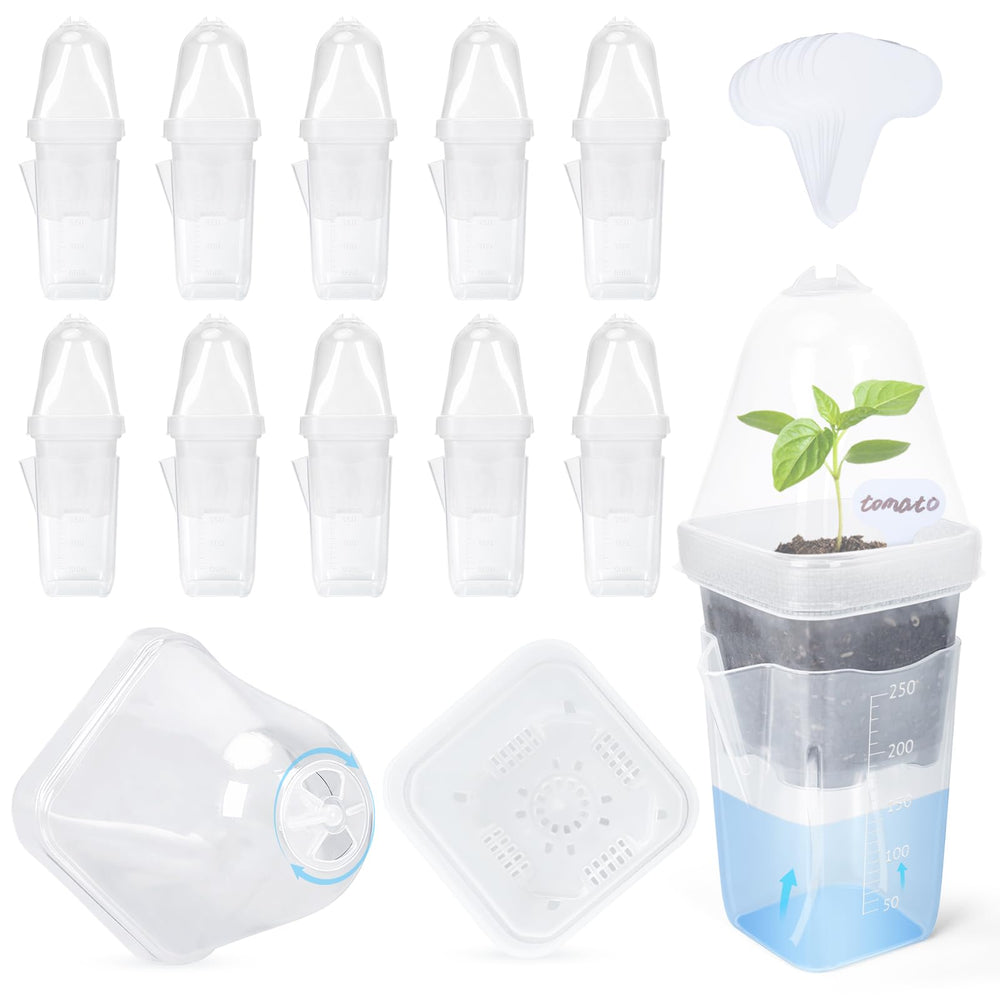 LEMEWEL front view showing clear dome and 12-pack for easy propagation