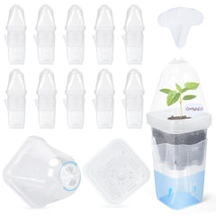 LEMEWEL front view showing clear dome and 12-pack for easy propagation