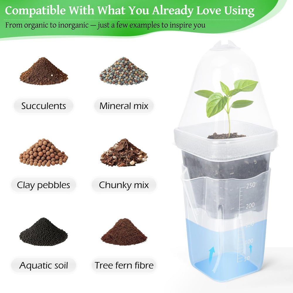 LEMEWEL transparent pot revealing root growth for monitoring benefit