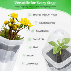 LEMEWEL side inlet being refilled without disturbing roots for convenience