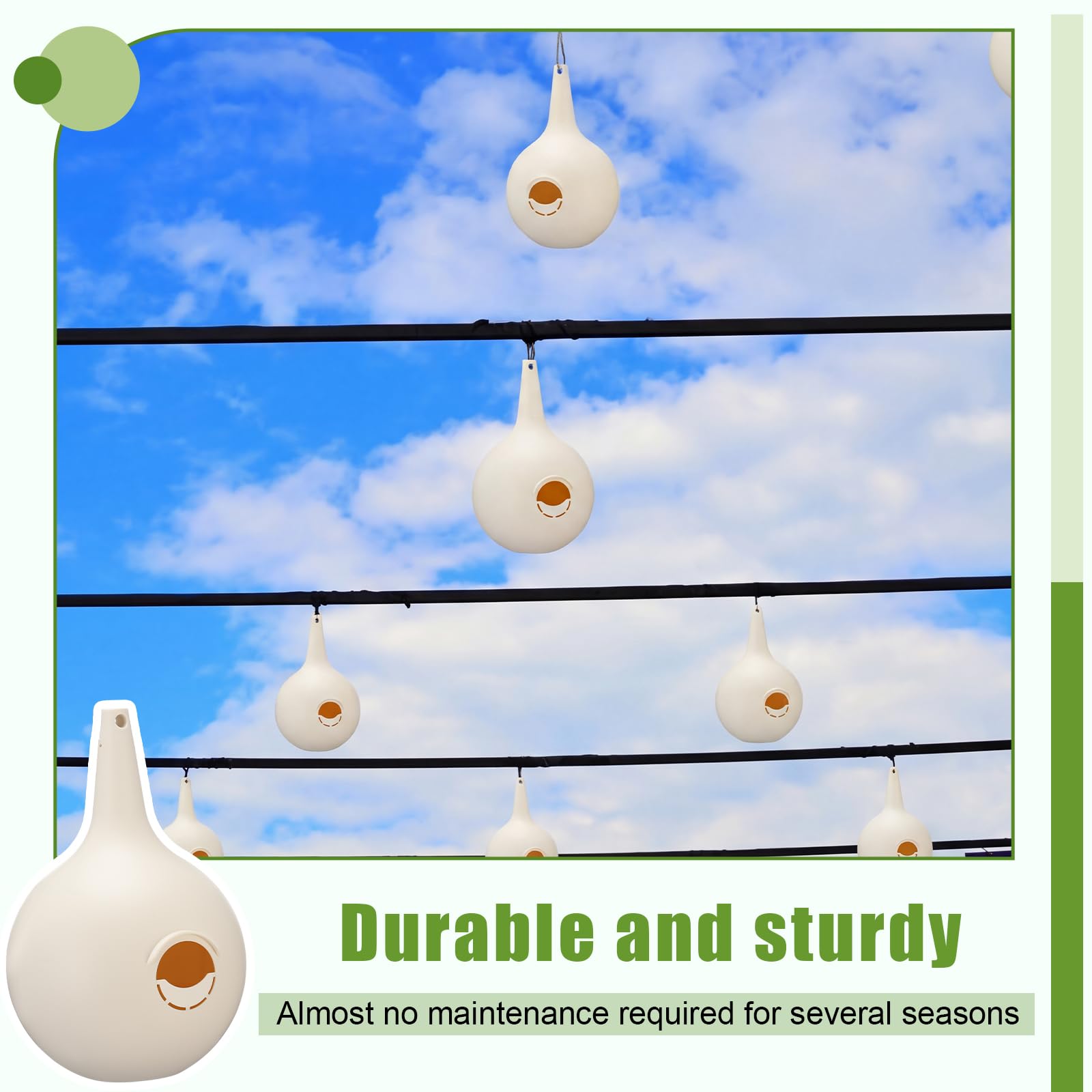 LemonRoad four-pack boxed set ready-to-hang, convenient multi-gourd colony advantage