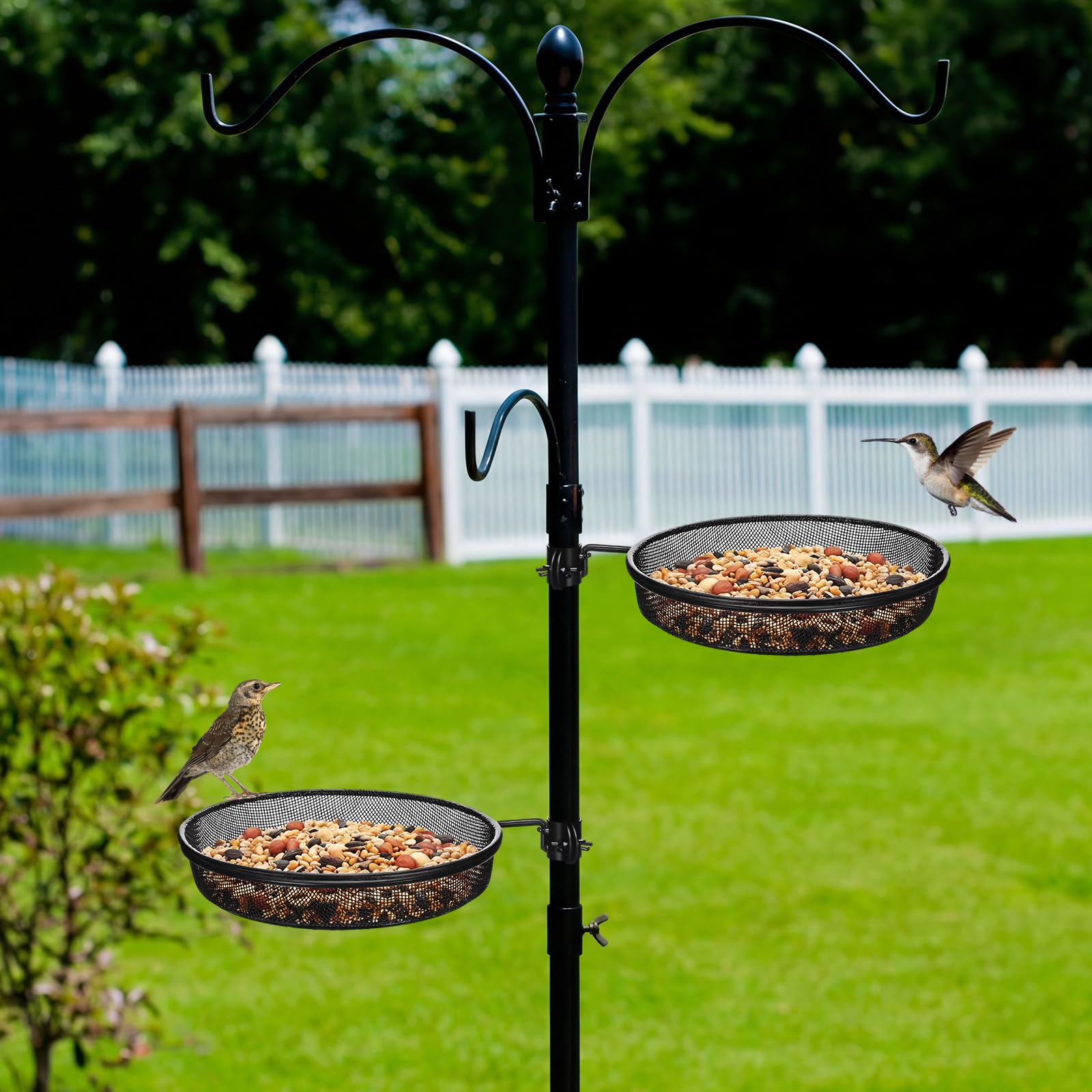 LemonRoad backyard feeding station with trays and hummingbird feeder showing attractive garden viewing benefit