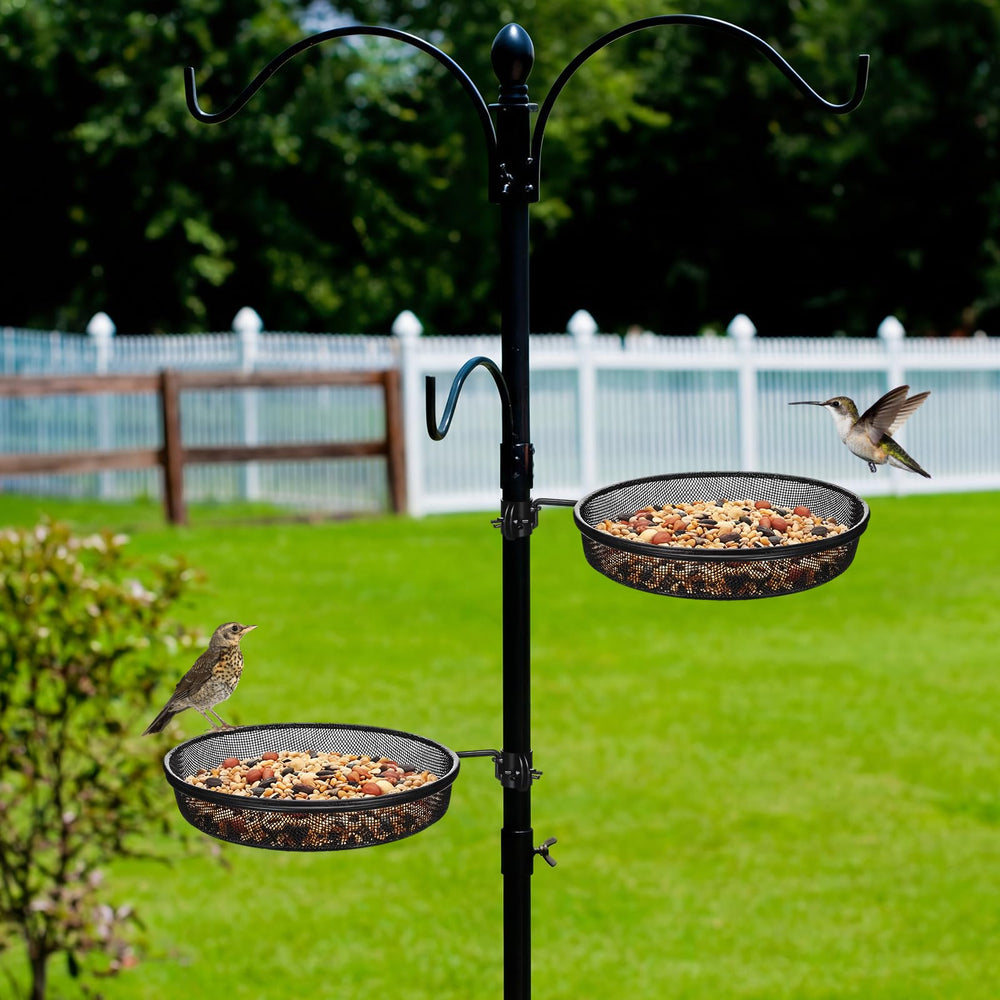 LemonRoad backyard feeding station with trays and hummingbird feeder showing attractive garden viewing benefit