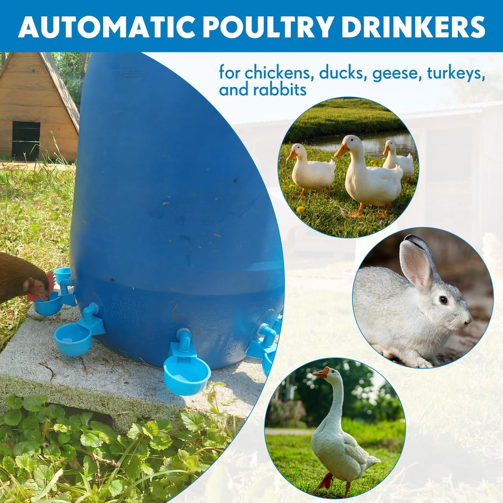 LemonRoad cups installed in a chicken coop showing cleaner bedding and easy access