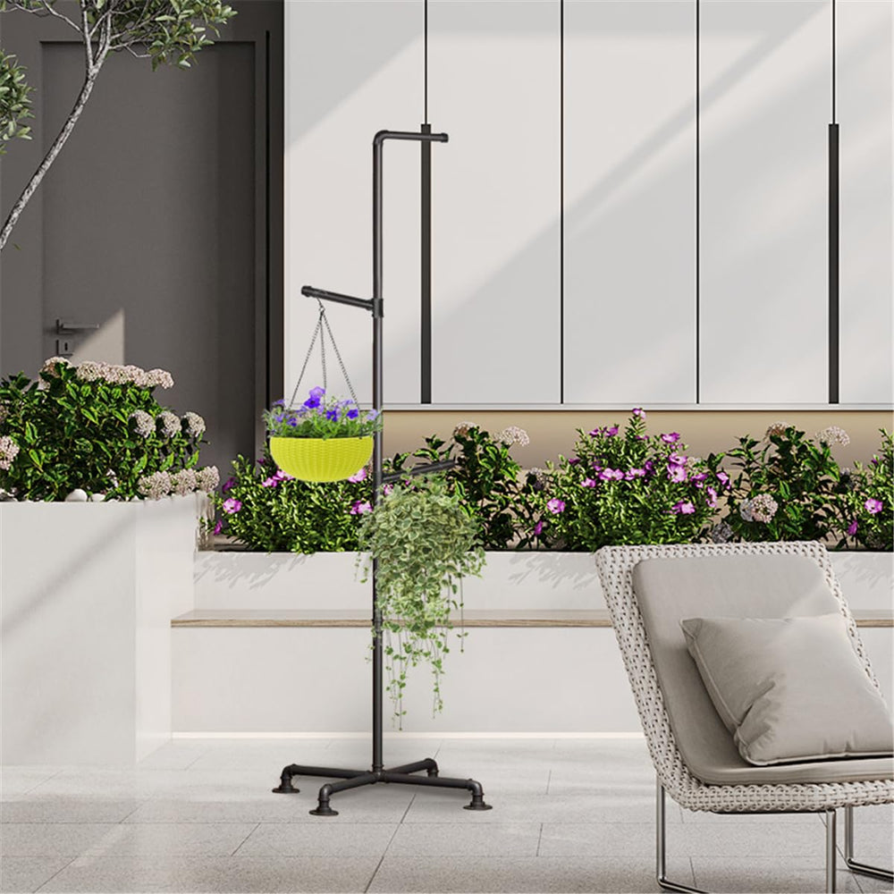 Lengfkus on balcony with mixed planters creating layered greenery benefit