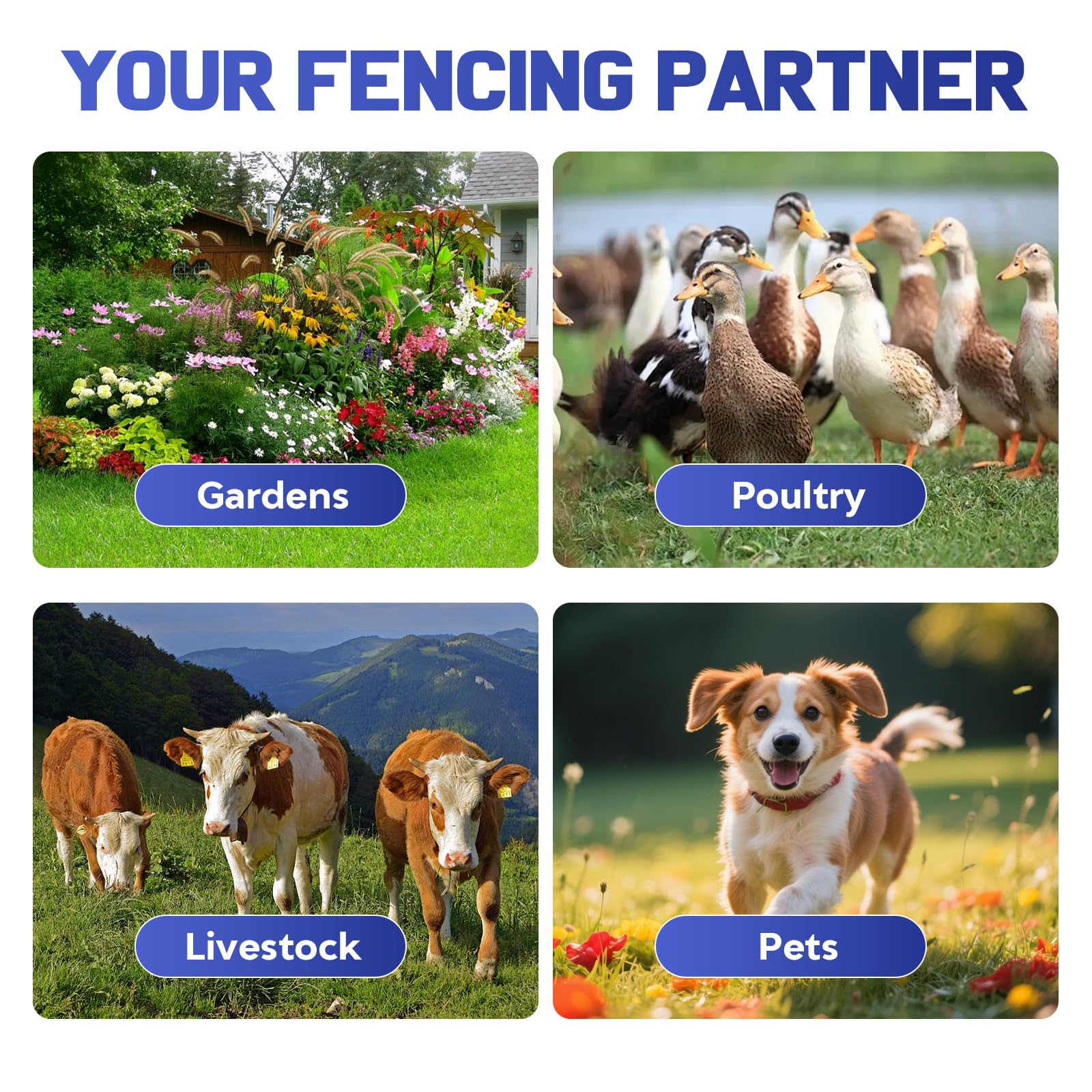 LEOMAUNYX powering a rural fence deterring wild animals around pasture