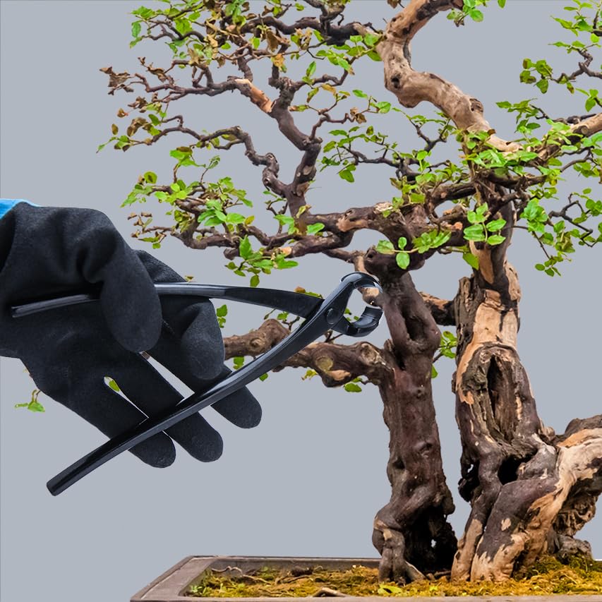 LEONTOOL bonsai cutters neatly stored in flannel bag protecting blades and preventing rust
