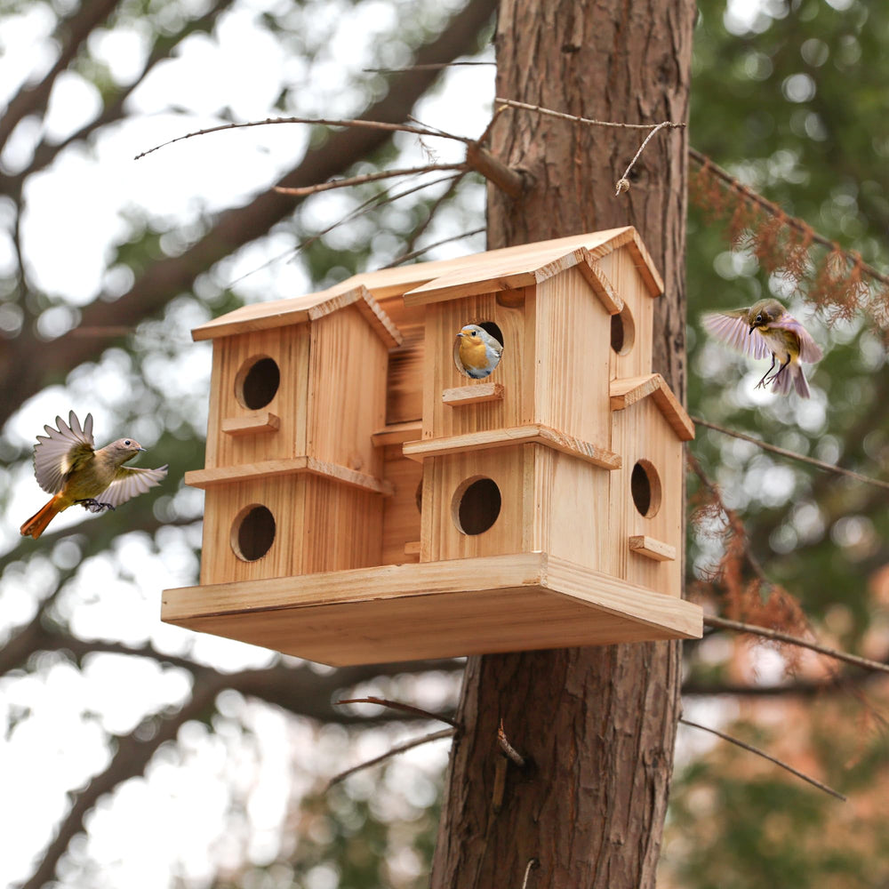 LEOSYY internal compartments and feeder showing organized nesting