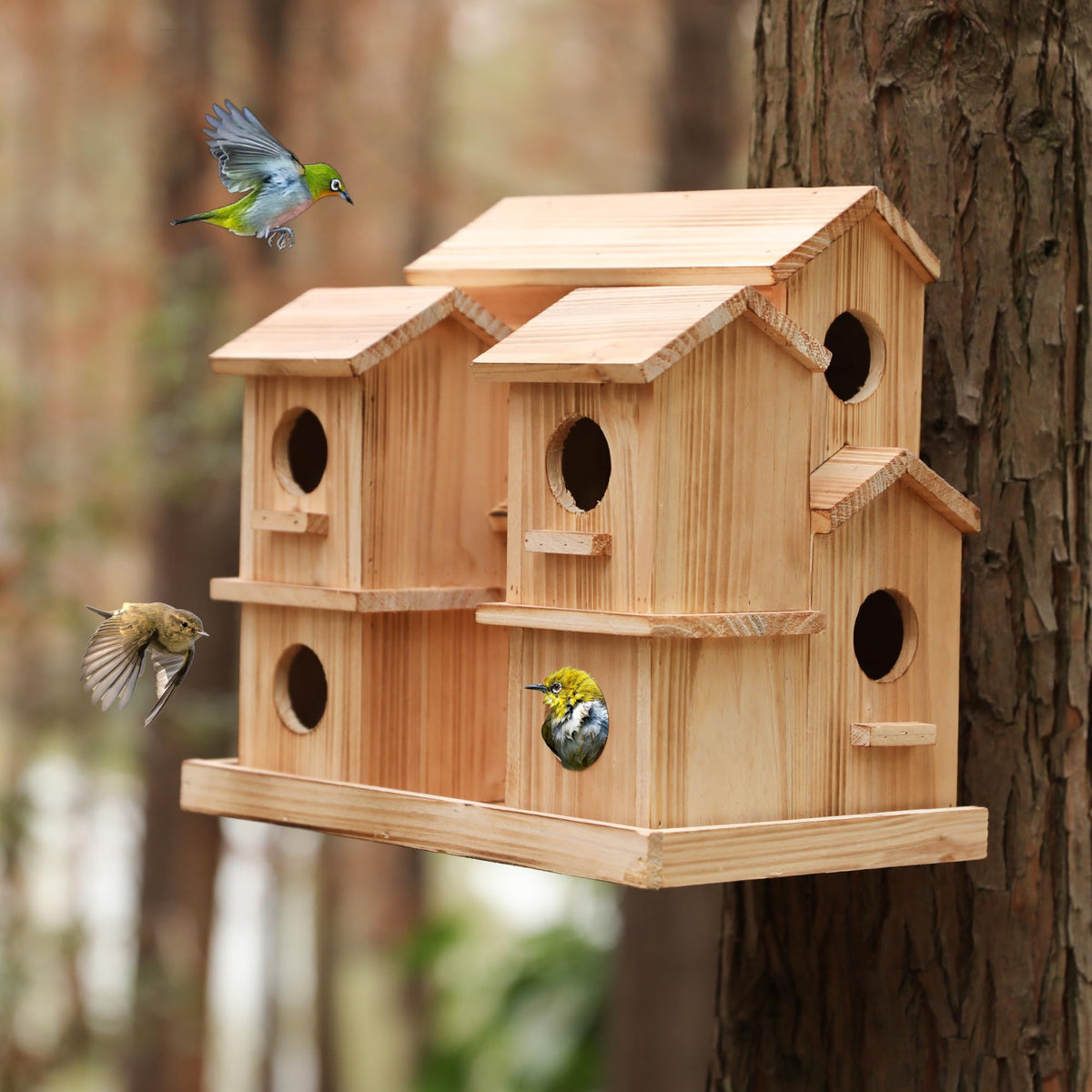 LEOSYY front view of 9-room bird house showing multi-hole benefit