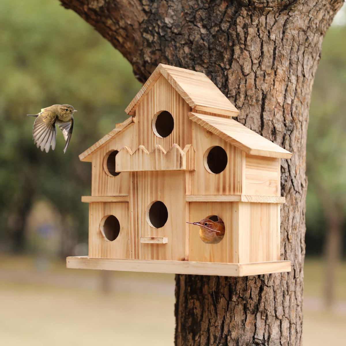 LEOSYY front view showing six-room birdhouse and feeder for attracting multiple birds