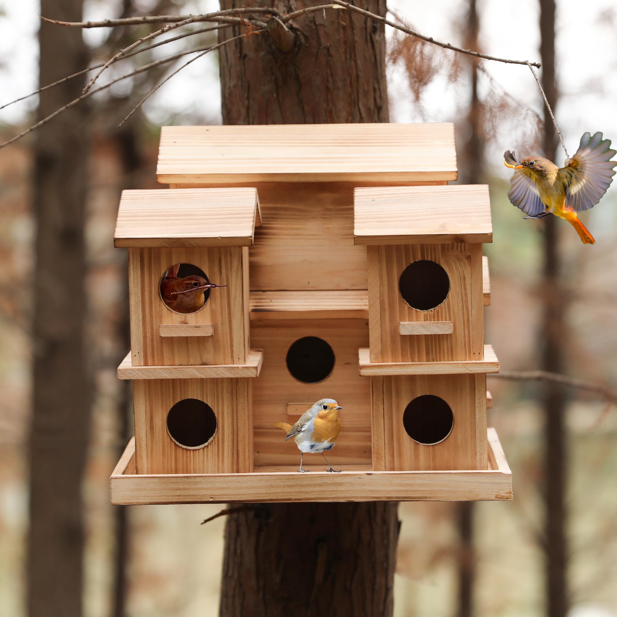 LEOSYY hanging bird house on tree branch attracting backyard birds