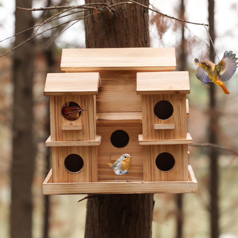 LEOSYY hanging bird house on tree branch attracting backyard birds