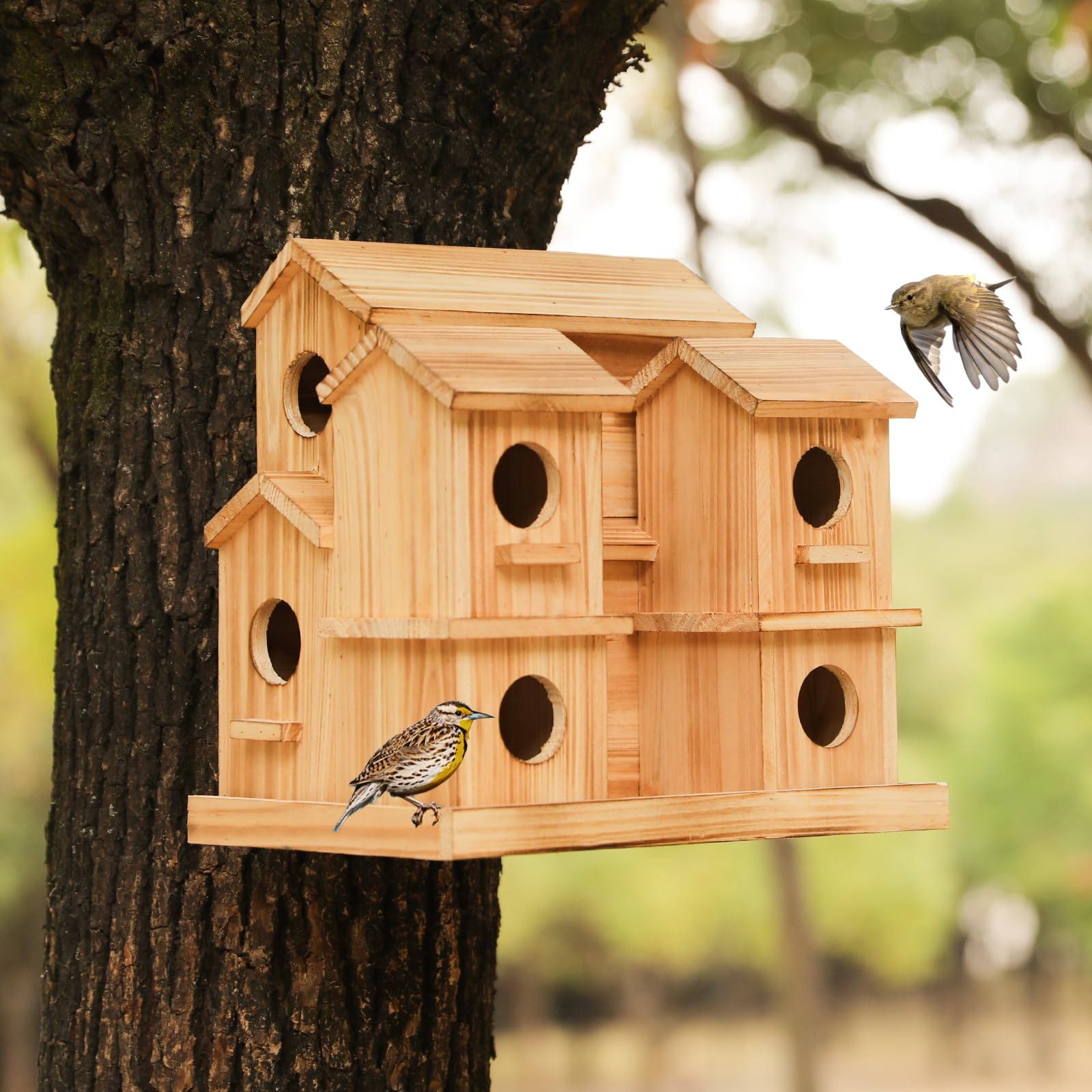 LEOSYY on patio with birds demonstrating decorative garden appeal