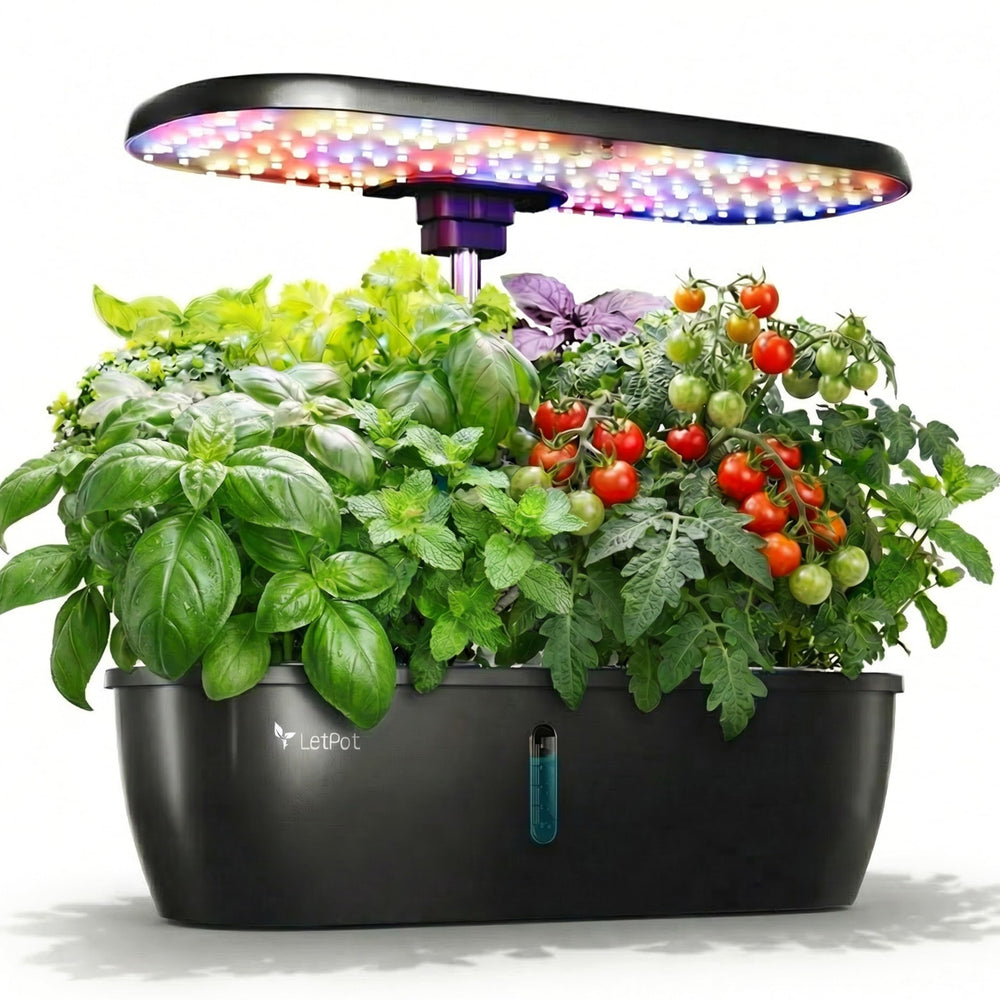 LETPOT front view showing 12 pods and clean countertop garden for fresh herbs
