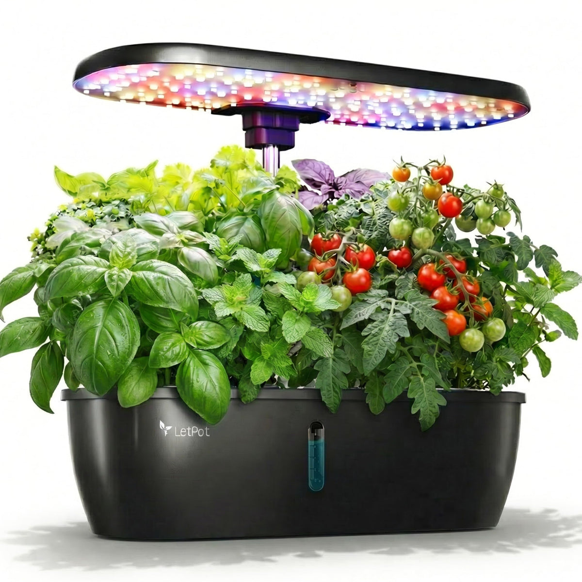 LETPOT front view showing 12 pods and clean countertop garden for fresh herbs
