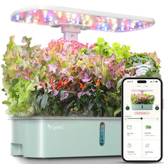 LETPOT front view showing compact indoor hydroponic system and easy access