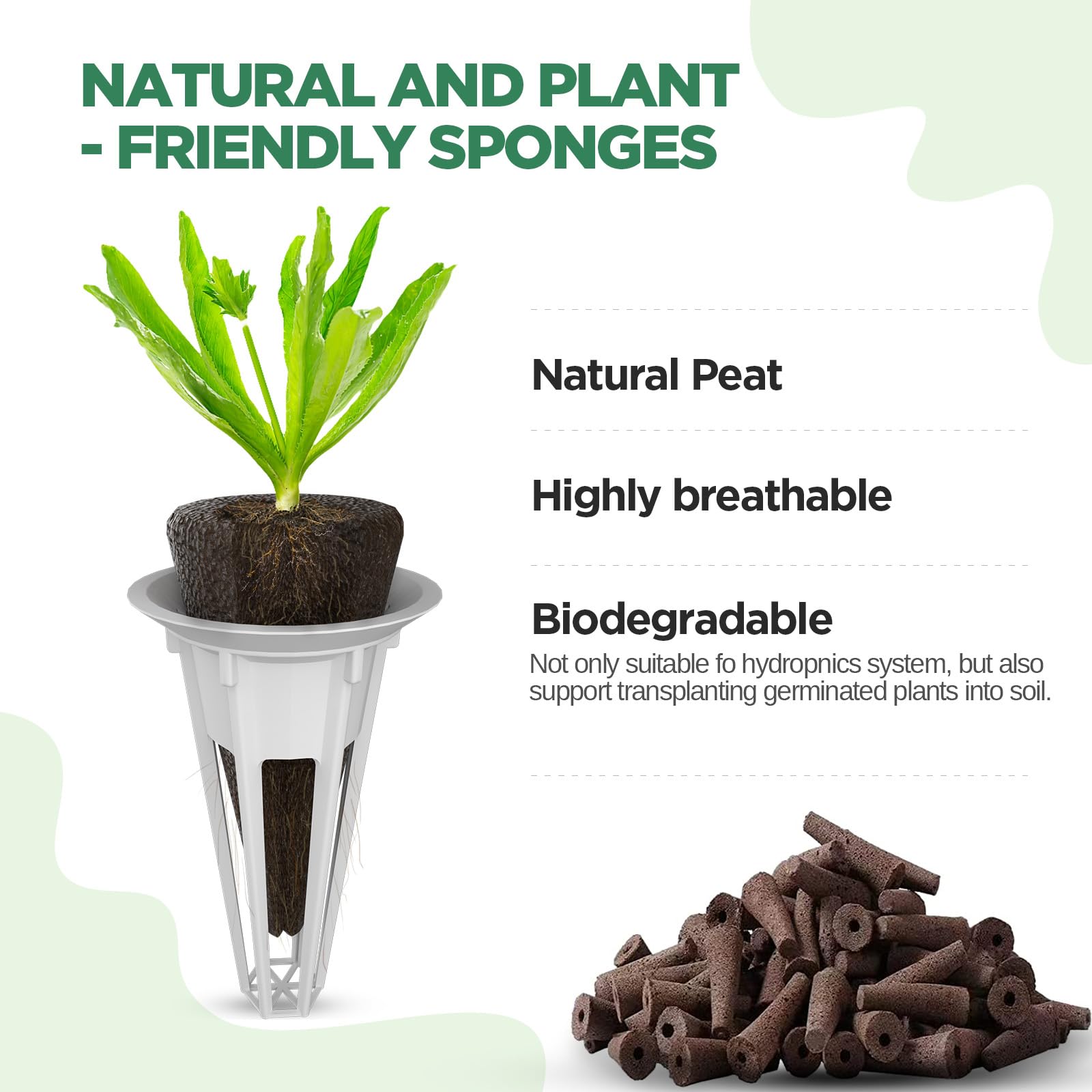 LETPOT seed placed in sponge center demonstrating easy planting and germination