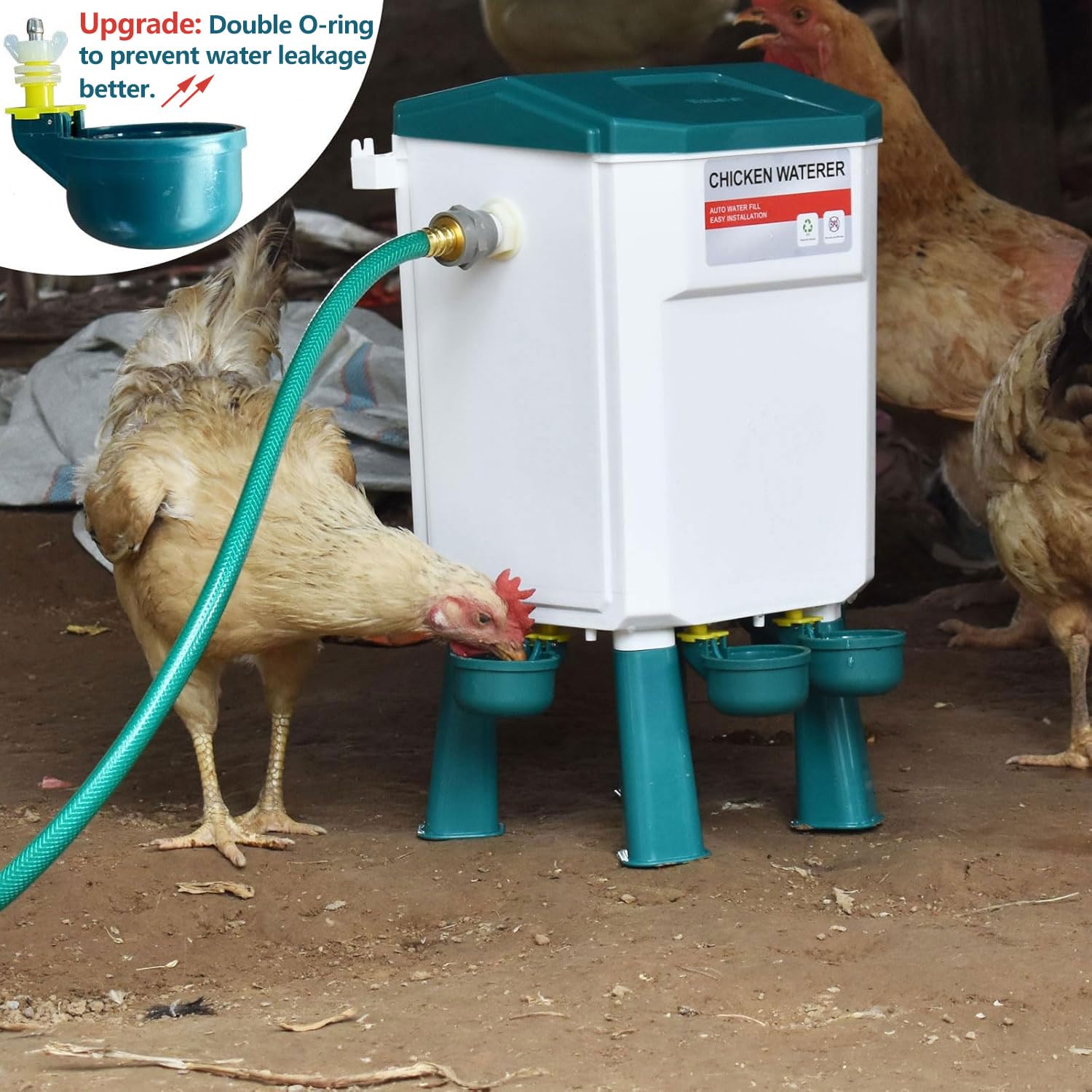 letsFix wide feeder opening improving access for birds