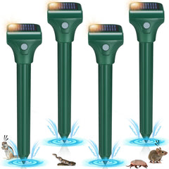 Letyet front view of four stakes showing complete outdoor kit and features