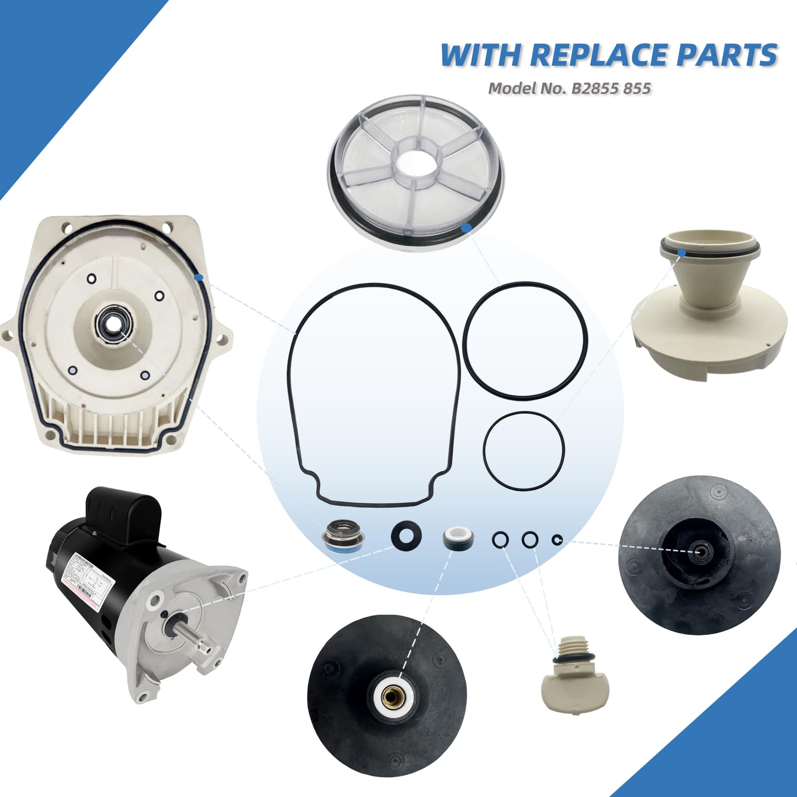LEUNGOO included seal rings and O-rings laid out to simplify pump reassembly and reduce leaks