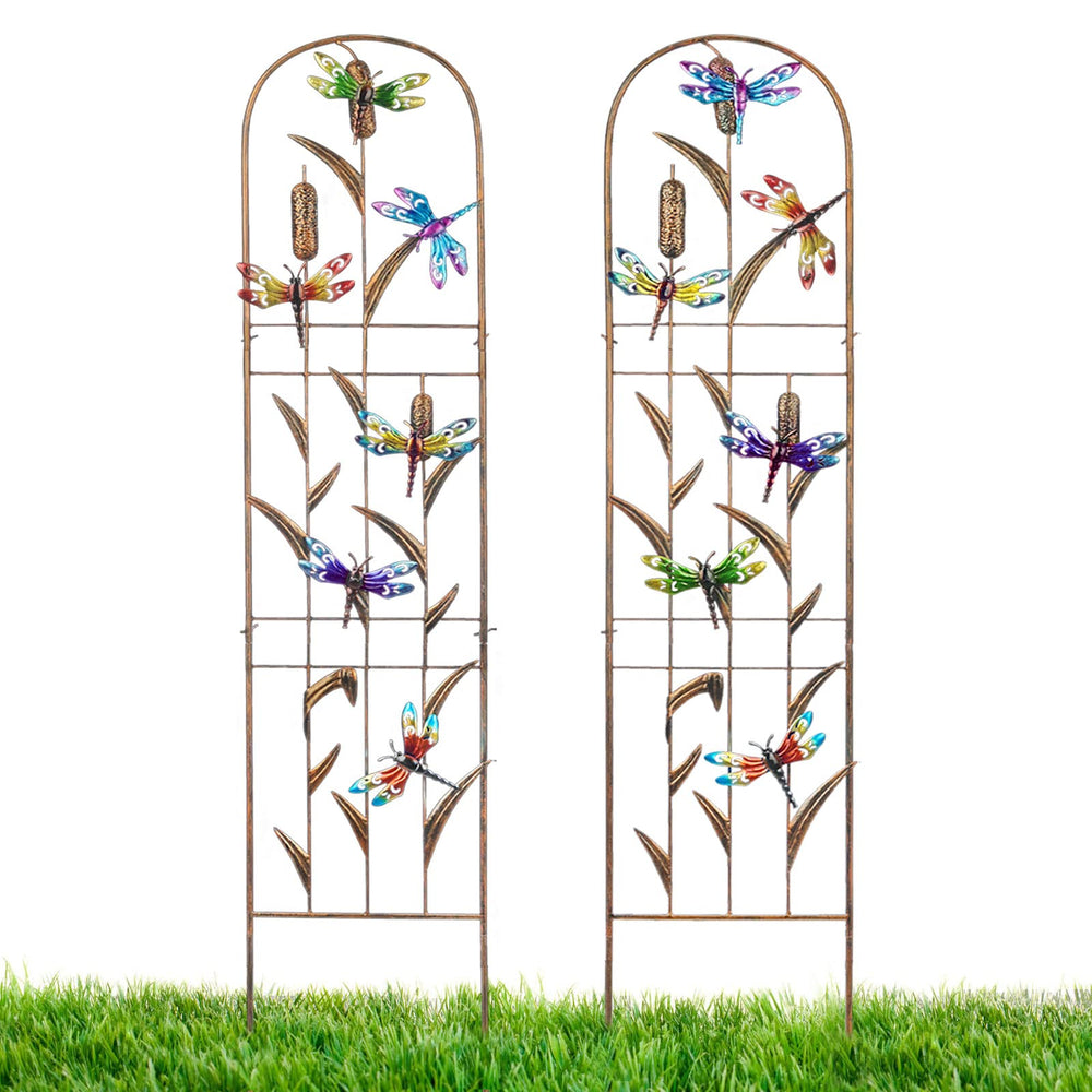LEWIS&WAYNE front view arched trellis showing decorative dragonflies and structure benefit