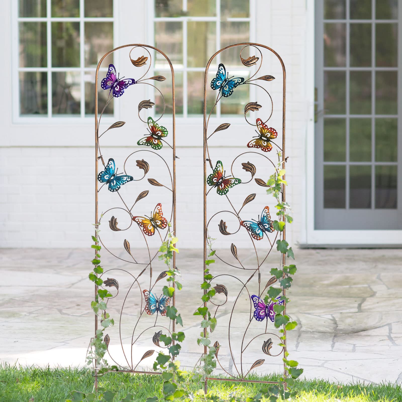 LEWIS&WAYNE trellis next to ruler showing 60-inch height scale