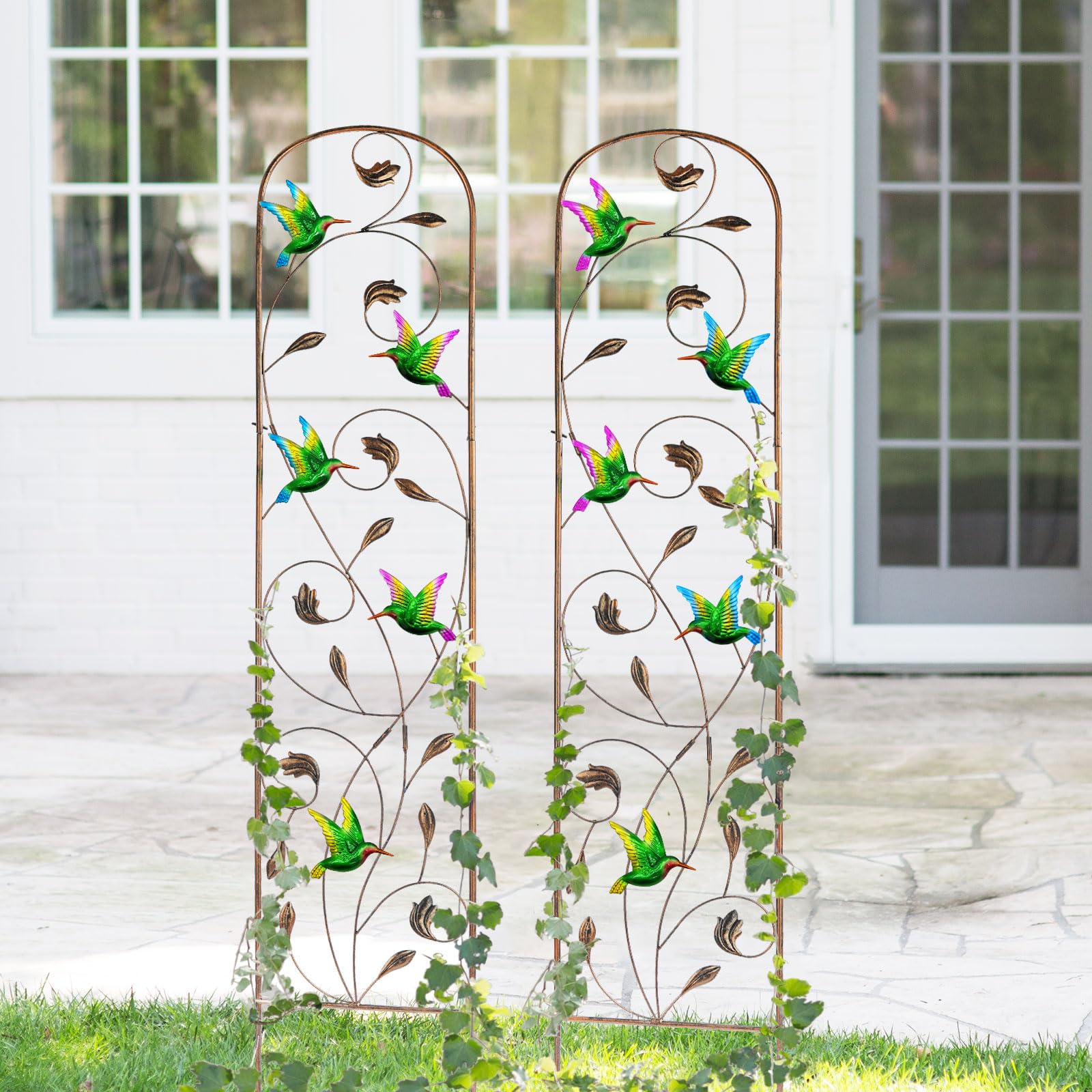 LEWIS&WAYNE trellis beside ruler to show 60-inch height and scale