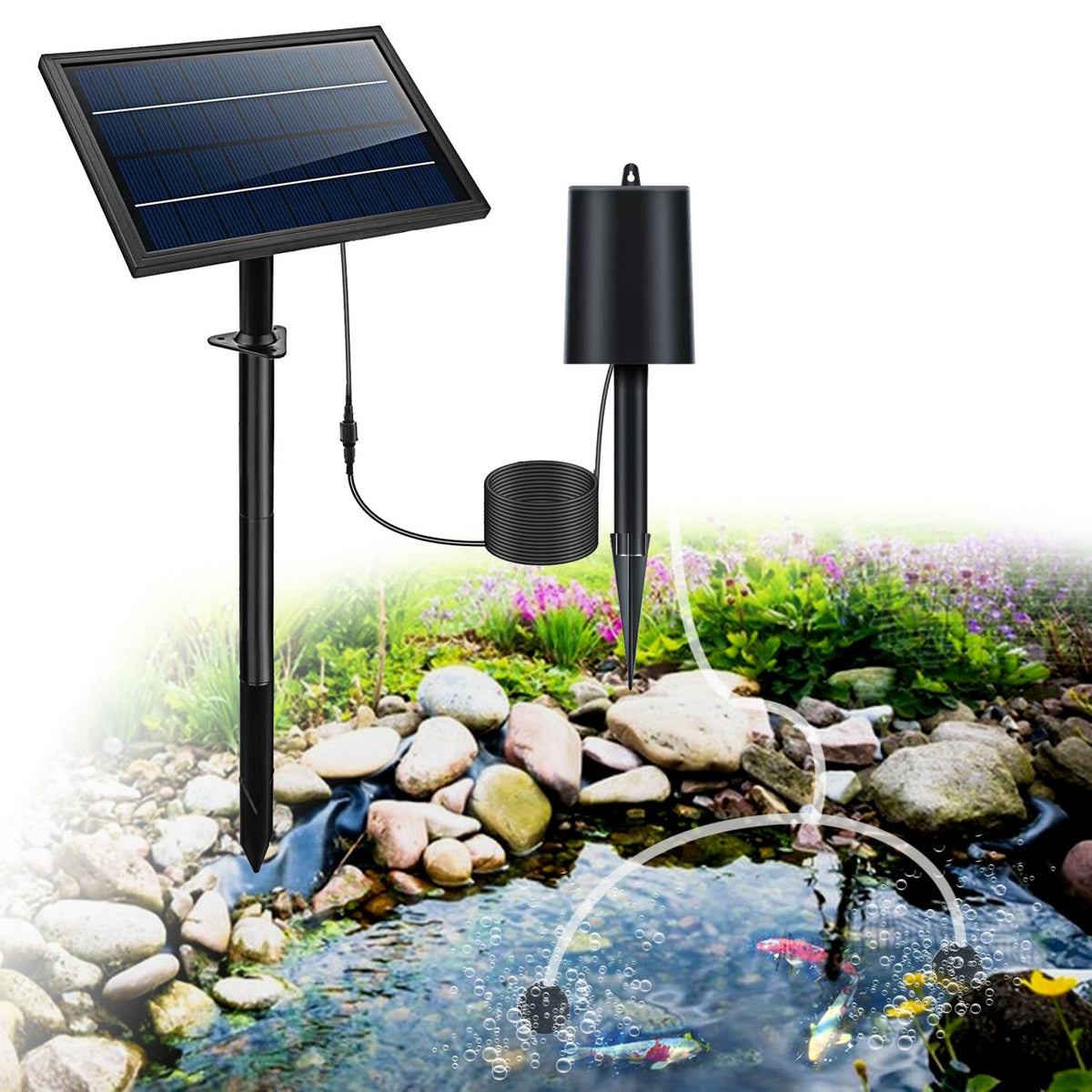 Lewisia front view showing solar panel and pump, durable build for reliable aeration