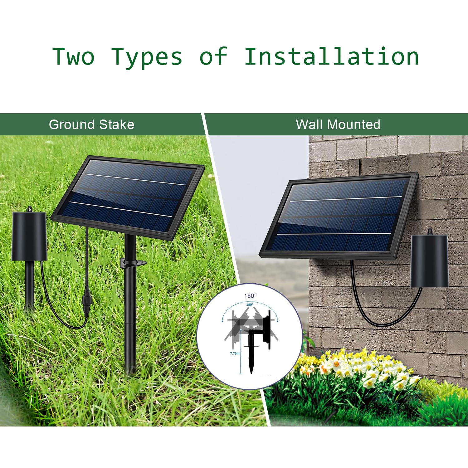 Lewisia solar panel mounted on ground stake, secure placement for optimal sun