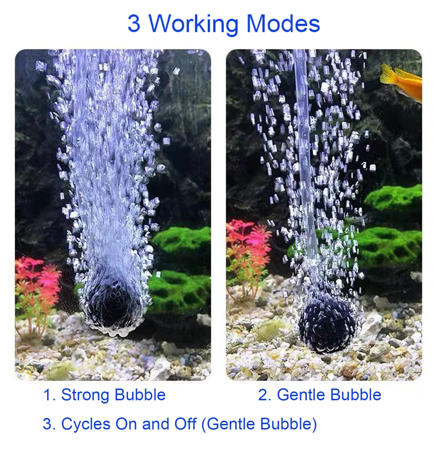Lewisia air hoses and connectors arranged for quick hookup and leak-free performance