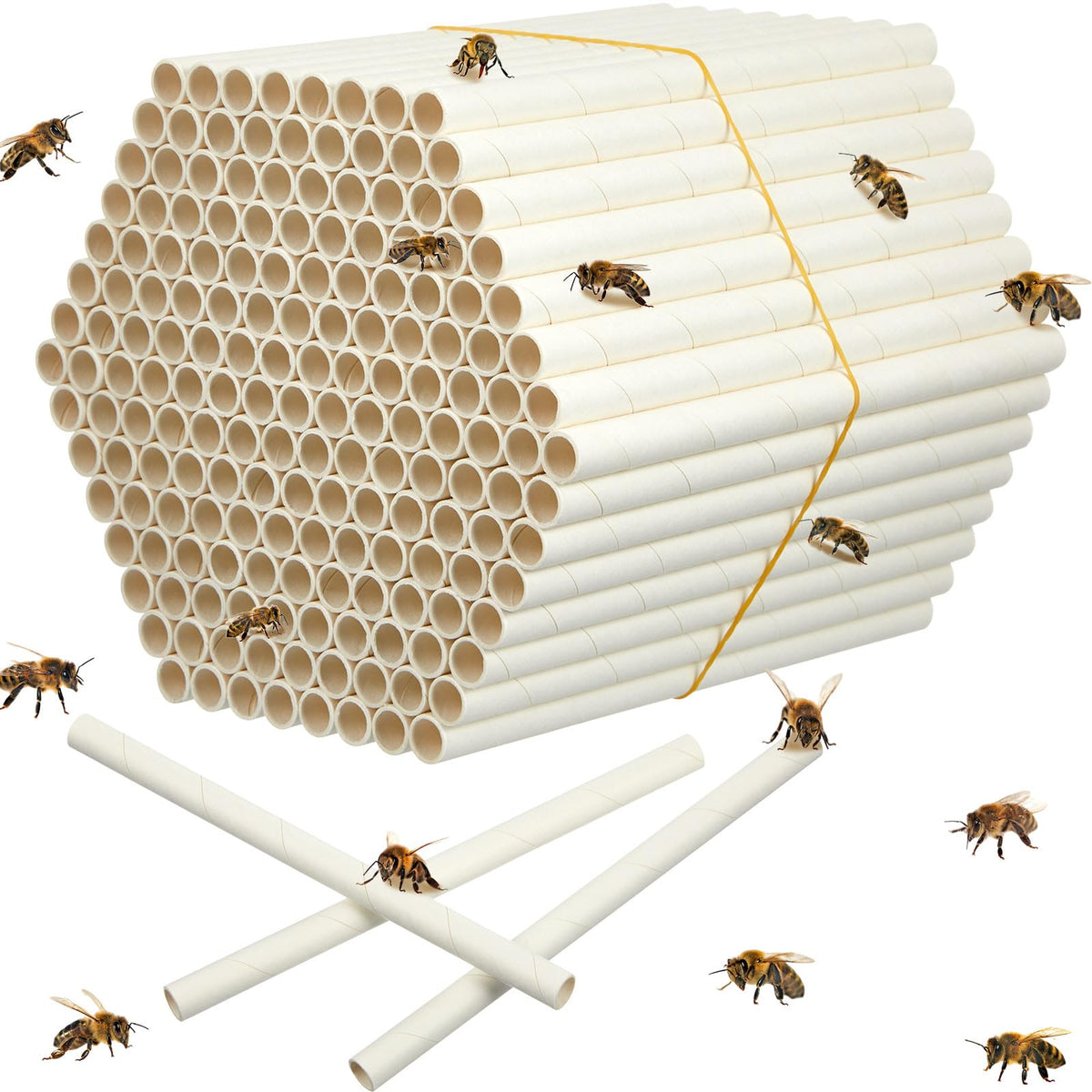 Lewtemi front pack showing 360 tubes and clear quantity benefit