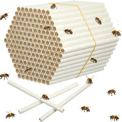 Lewtemi front pack showing 360 tubes and clear quantity benefit