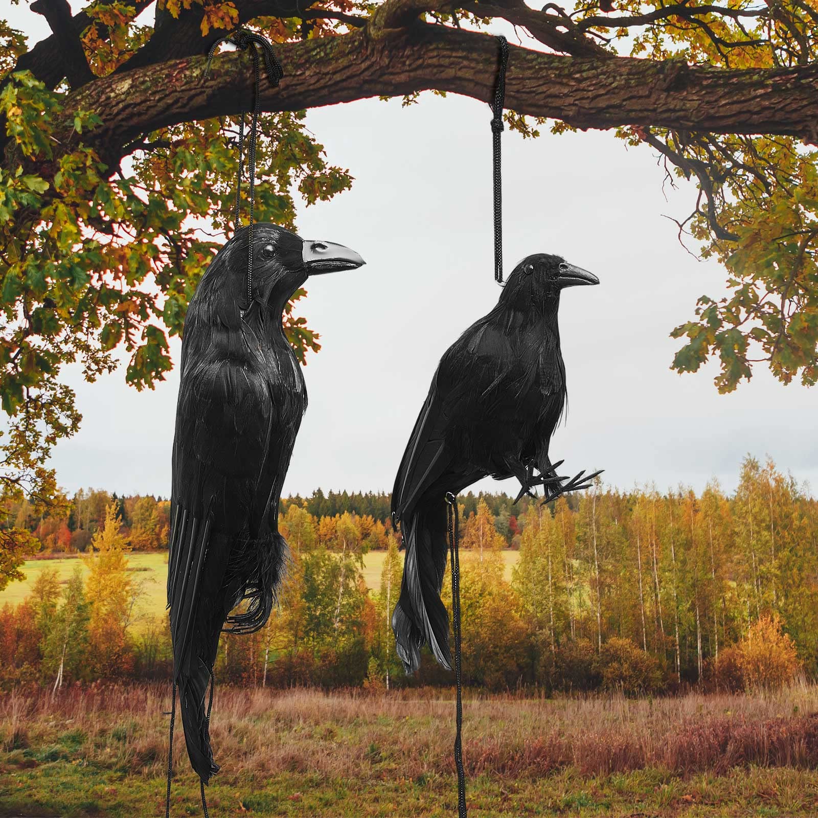 Lewtemi front view of both hanging black crows showing realistic silhouette and spooky impact