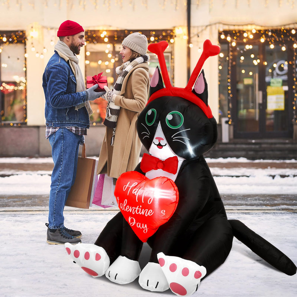 Leyndo cat on a front lawn during daytime creating festive Valentine’s ambiance